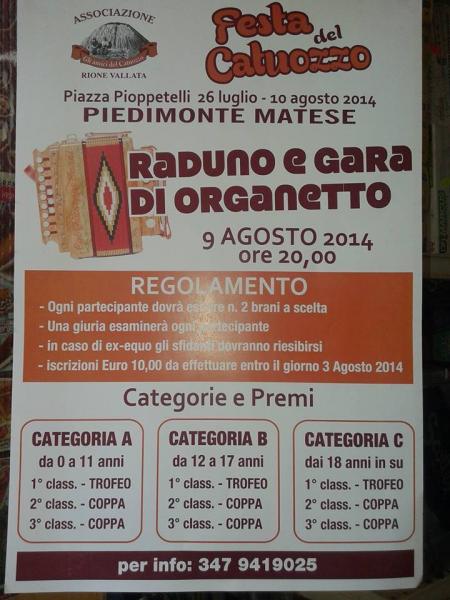 Raduno e gara di organetto