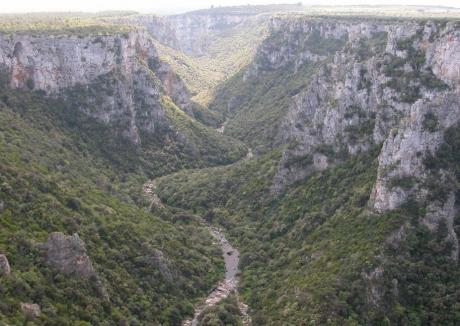 Eventi Natura - Notte di San Lorenzo