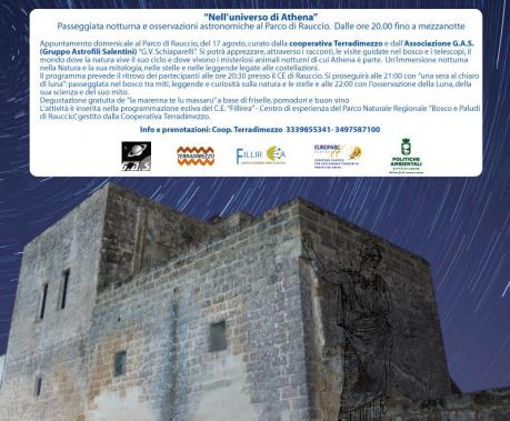 Nell'Universo di Athena