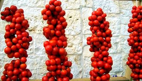 "E' tempo d'intrecciar le ramasole" - laboratorio per grandi e piccini sul Pomodoro Regina di Puglia (presidio Slow Food)