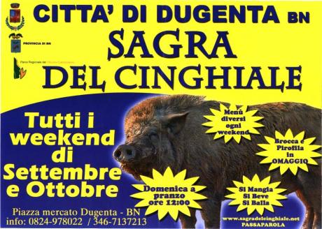 Sagra del Cinghiale