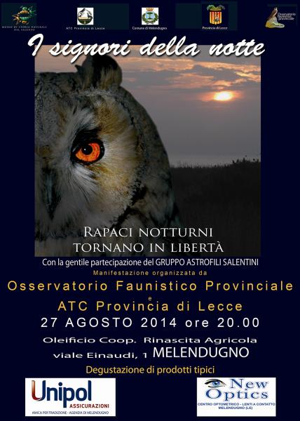I Signori della Notte: I rapaci notturni tornano in libertà