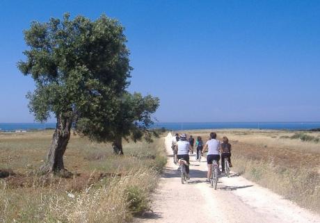 In bici per masserie