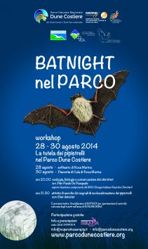 Bat Night nel Parco