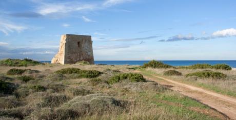 NOTTI D’ESTATE – Escursione notturna a Torre Pozzelle