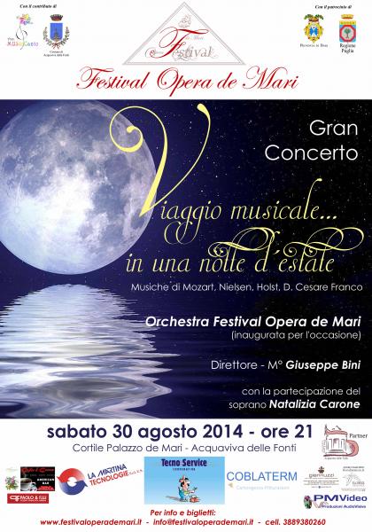 Viaggio Musicale... in una Notte d'Estate
