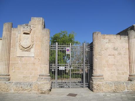 OPEN DAYS