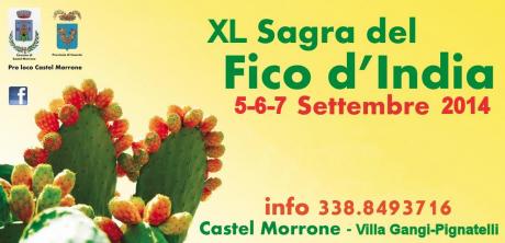 Sagra del Fico d'India