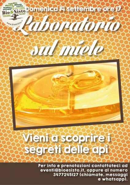 Laboratorio sul miele