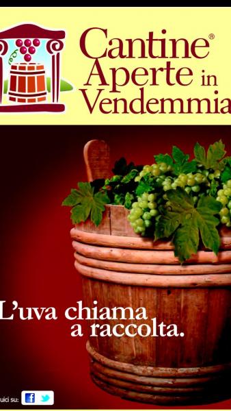 Cantine aperte in Vendemmia