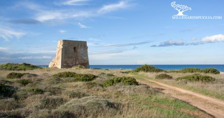 NOTTI D’ESTATE – Escursione notturna a Torre Pozzelle