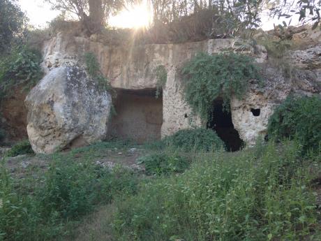 Sapori e Saperi del Parco: alla ricerca della bontà delle malerbe