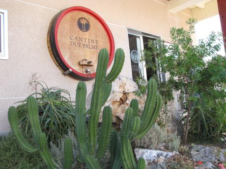 Cantine Aperte in vendemmia