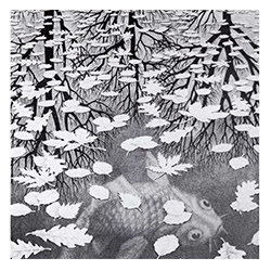 ESCHER in mostra al Chiostro del Bramante