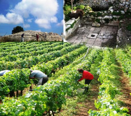 La via degli antichi palmenti