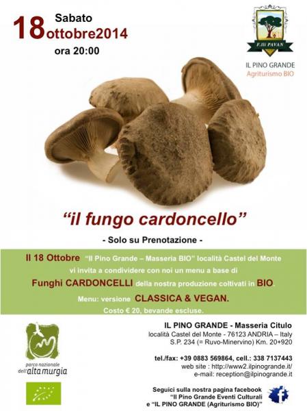 Il fungo Cardoncello e IL PINO GRANDE + Jam Session