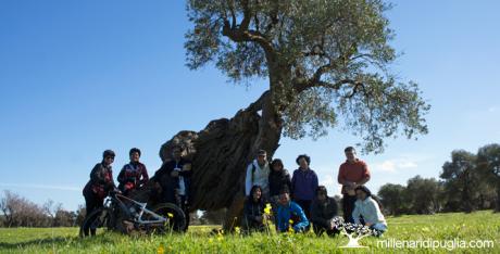 In bici tra il mare e gli ulivi della via Traiana