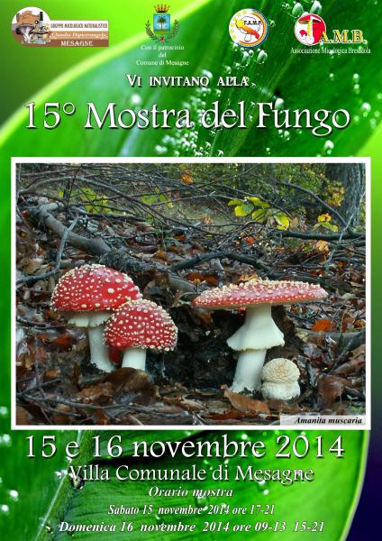 15° Mostra del Fungo