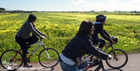 In bici tra il mare e gli ulivi della via Traiana
