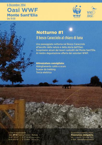 Notturno n°1: l'Oasi