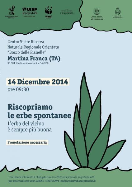 Riscopriamo le erbe spontanee