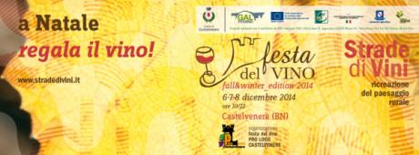 Festa del Vino fall & winter edition: anteprima di Strade di Vini
