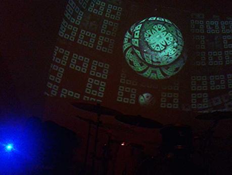Ginkgo Dawn Shock live