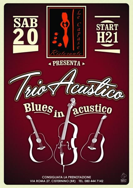 Trio Acustico Blues