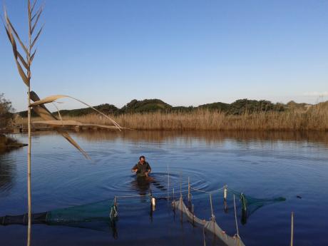 TERRA MADRE DAY PASSEGGIANDO NELLE ZONE UMIDE DEL PARCO - per scoprire la pesca tradizionale e sostenibile