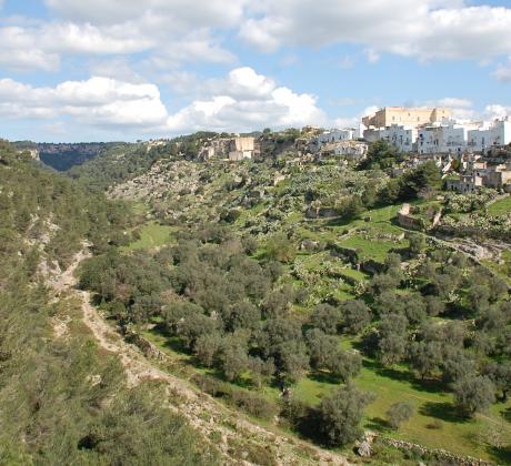 La gravina di Palagianello