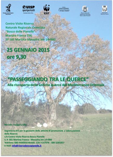 Passeggiando Tra le Querce