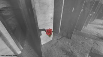 Dialogo: la Carta Come Memoria
