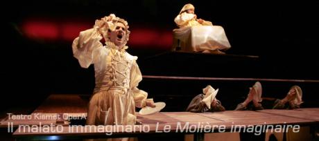 Il malato immaginario ovvero Le Molière imaginaire