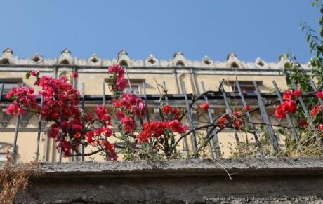 San Valentino sulle scale del Petraio con Econote
