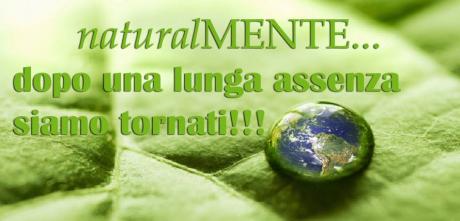 naturalMENTE_2015