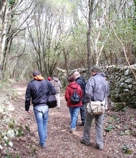 Passeggiata nel bosco