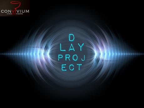 D-lay Project