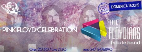 Domenica Live Omaggio ai PINK FLOYD