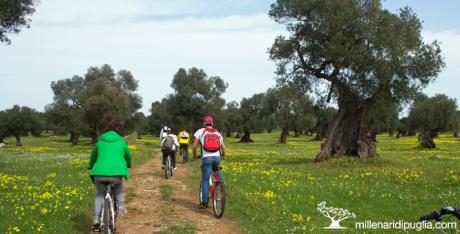 Cicloescursione da Masseria Lamasanta in natura verso la via Traiana