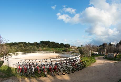 In bici in natura tra il mare e gli ulivi da Masseria Lamasanta