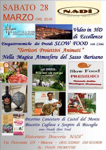Territori  Proiettivi  Animati