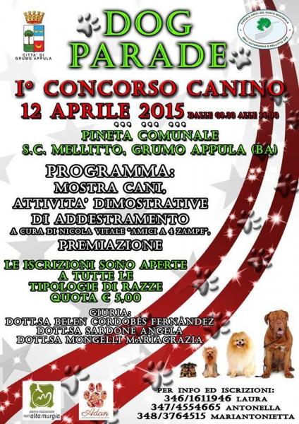 DOG PARADE (concorso canino)