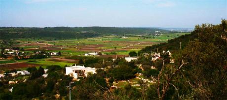 "Pasqua in cammino"