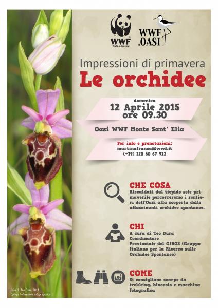 Impressioni di Primavera: Le orchidee