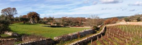 CamminPasquetta