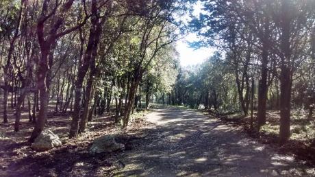 Pasquetta al Bosco Delle Pianelle