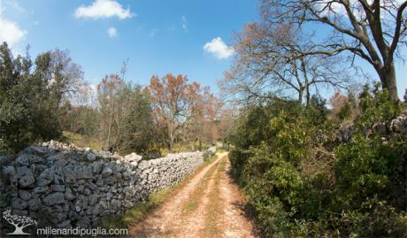 Escursione in natura a Cisternino tra i tratturi e l’area collinare di Caranna