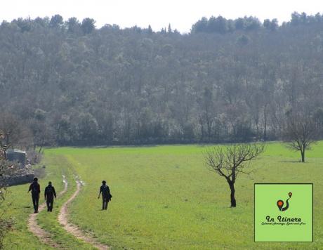 Primavera al Bosco di Mesola