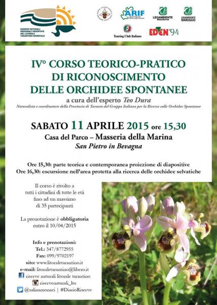Alla scorperta delle orchidee selvatiche