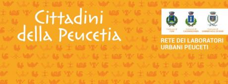 Scuola di Comunità del P-Lab - corso per Facilitatori